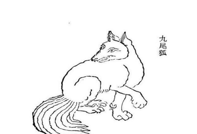 古代传说中的九尾狐是不是存在的呢?你怎么看出来图5